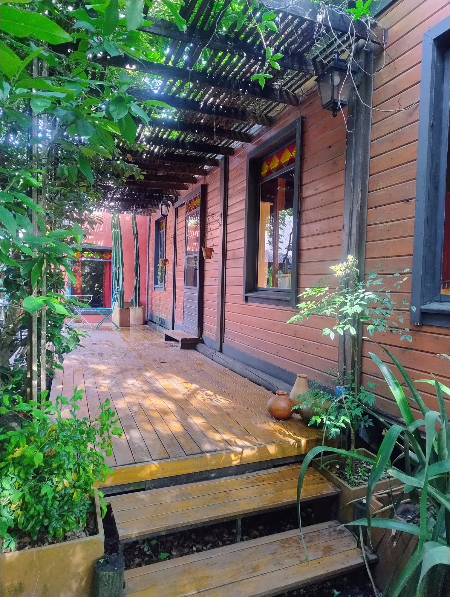 Galería exterior de madera rodeada de plantas