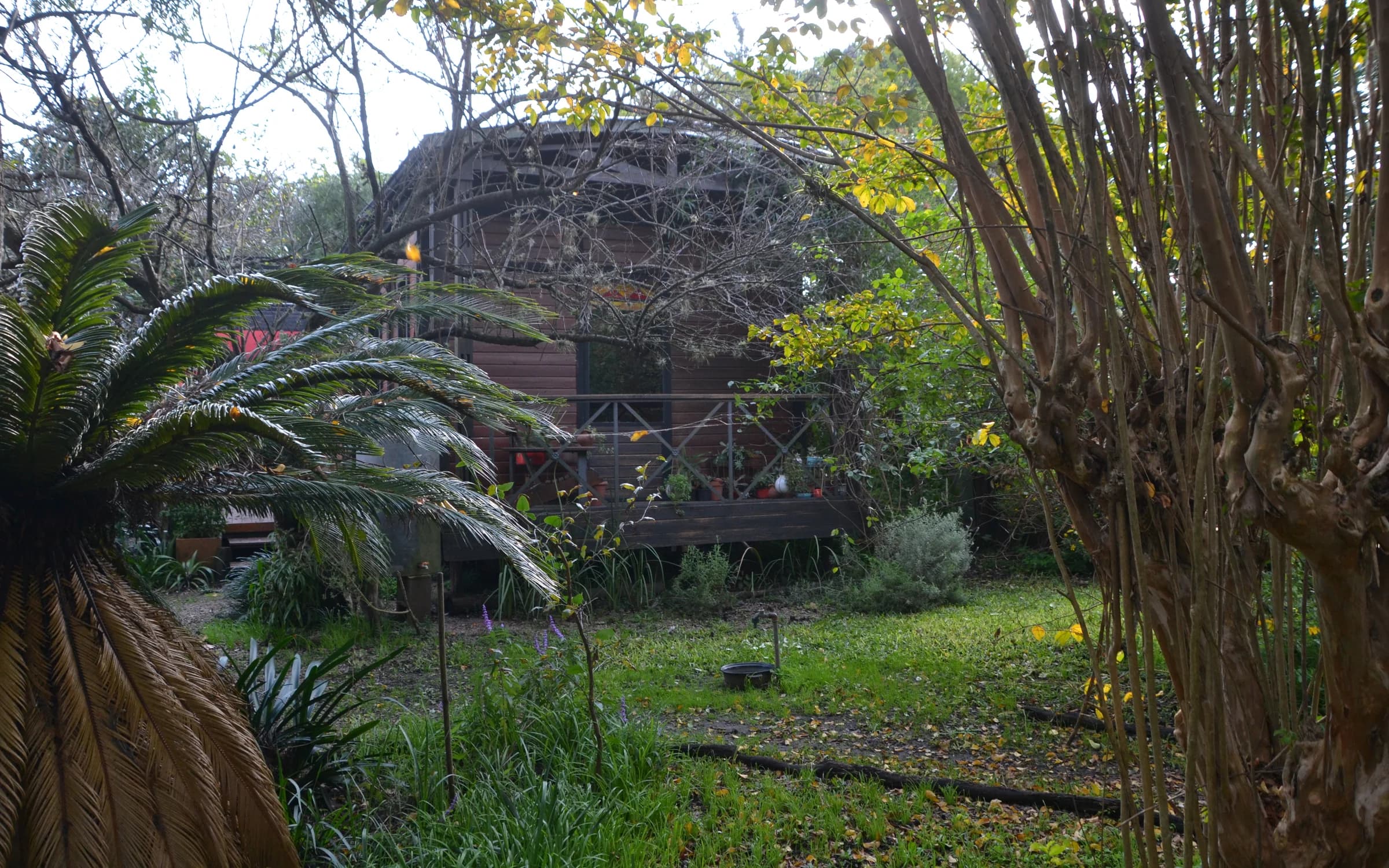 El Vagón entre árboles y vegetación