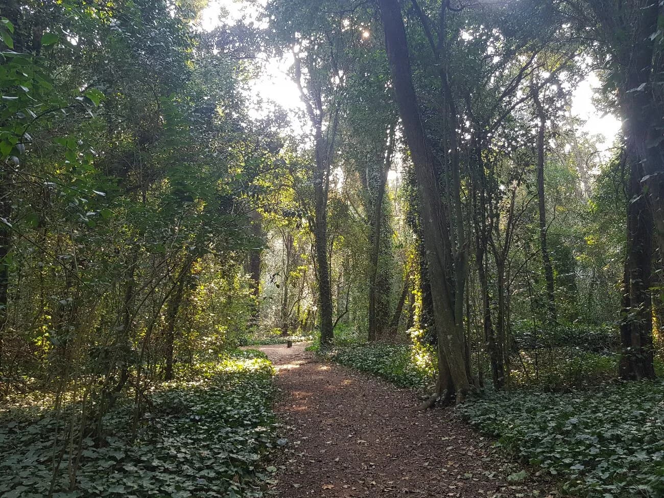 Bosque Encantado de General Belgrano